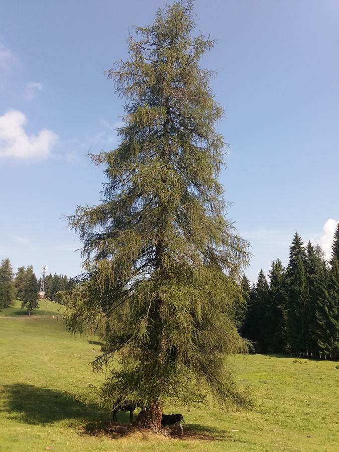 Holiday home Rifugio Di Pace